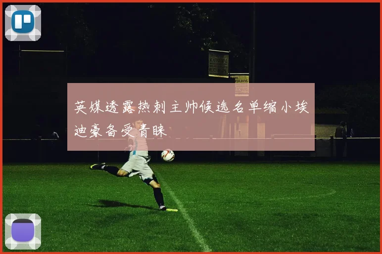 英媒透露热刺主帅候选名单缩小埃迪豪备受青睐