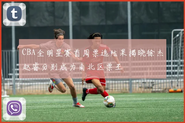 CBA全明星赛首周票选结果揭晓徐杰赵睿分别成为南北区票王